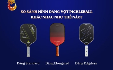 Hình dáng vợt Pickleball: Standard, Elongated và đặc biệt khác