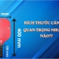 Kích thước cán vợt (Grip Size) quan trọng thế nào? Hướng dẫn đo và chọn