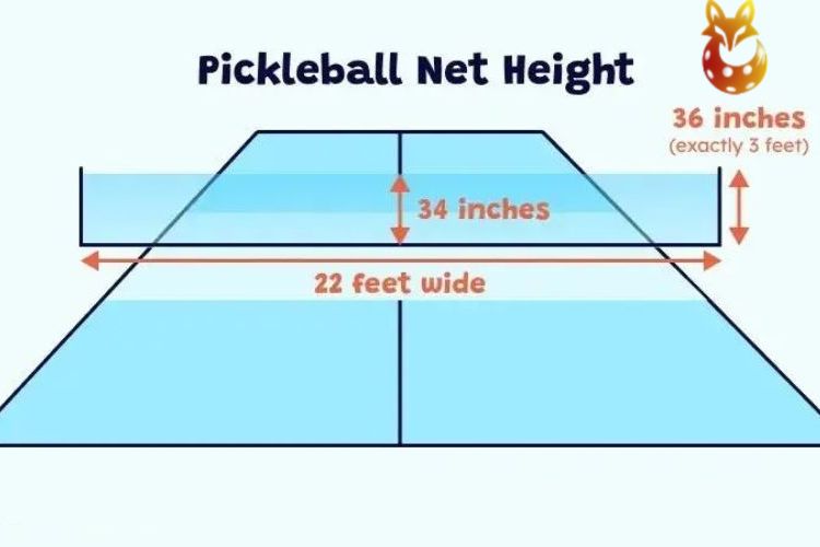 Chiều cao lưới tiêu chuẩn pickleball