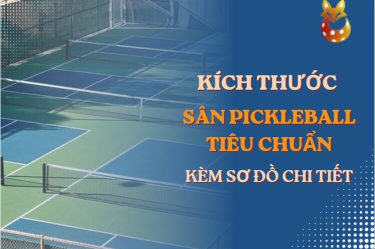 kích thước sân pickleball