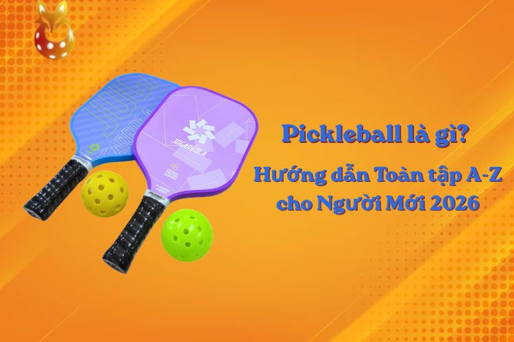 pickle ball là gì