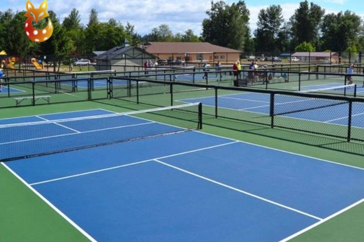 sân chơi pickleball