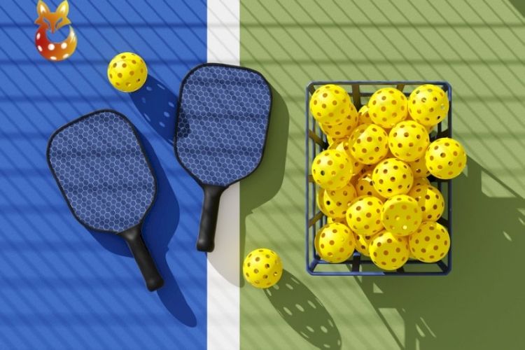 tổng quan môn thể thao Pickleball