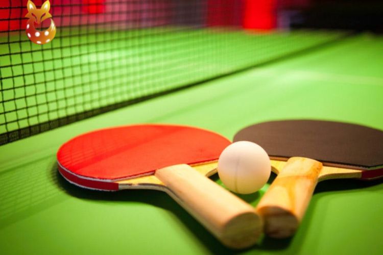 Ưu và nhược điểm môn Bóng bàn