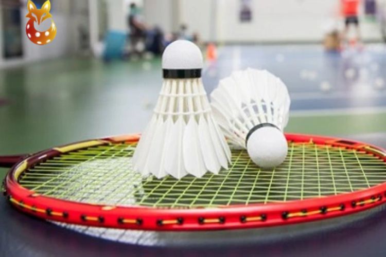 Ưu và nhược điểm môn Cầu lông